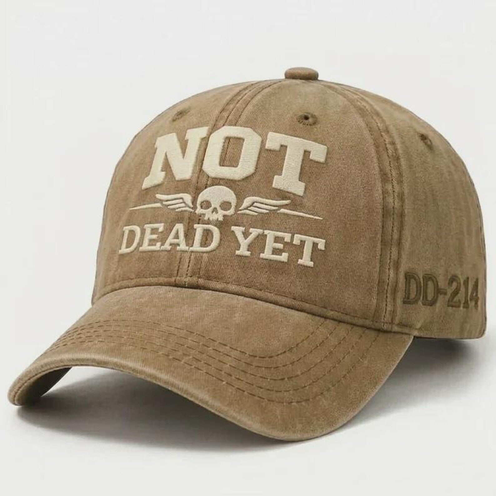 Not Dead Yet Hat, Funny Skull Cap, Vintage Washed Dad Hat, Dark Humor Embroidered Cap, Veteran DD214 Hat, Sarcastic Gift Idea